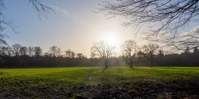 Geboren in Zeist beroemde Zeistenaren