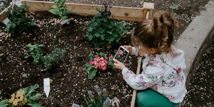 Kindvriendelijke tuin tips advies en informatie