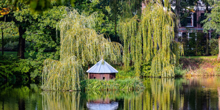 Stad in Gelderland Gelderse steden