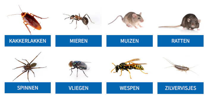 Pest control de voordelen