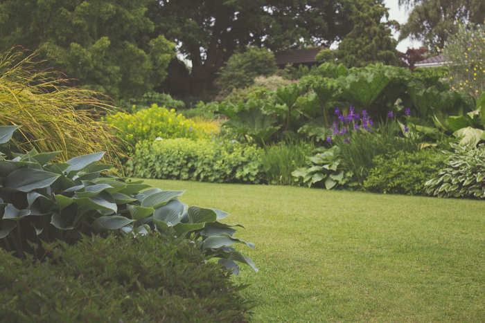 De magie van een levendige tuin: Tips en trucs voor de enthousiaste tuinier