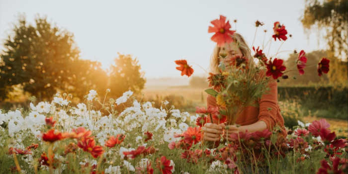 Katja Staring Slow Flowers boek