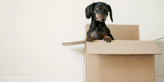 Leuke cadeaus voor iemand met een nieuw huis