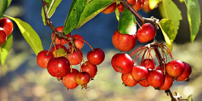 Zo maak je van je tuin een gezellige zithoek