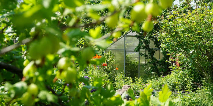 Volg deze stappen om de tuin een flinke opknapbeurt te geven