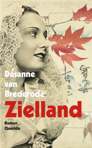 Désanne van Brederode Zielland Recensie