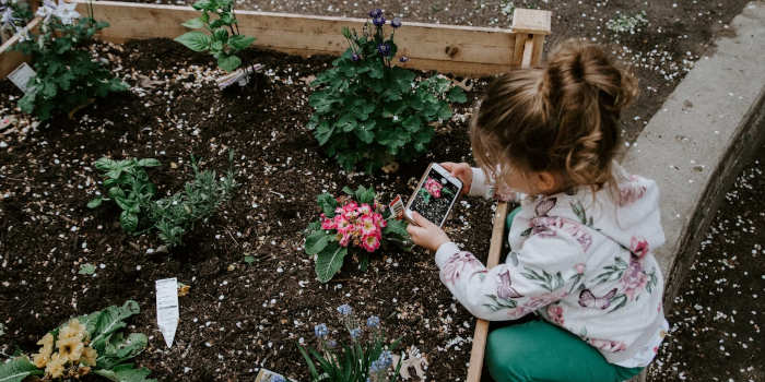 4 manieren om je achtertuin leuker voor kinderen te maken