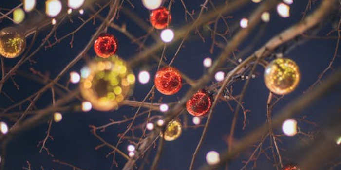 Verander je tuin in een magische sprookjeswereld met en LED-lichtslang